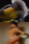Woman looking cock