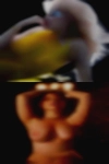 Discreet Dickson