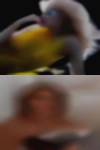 Single women looking fuck near