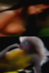 Fuck wife